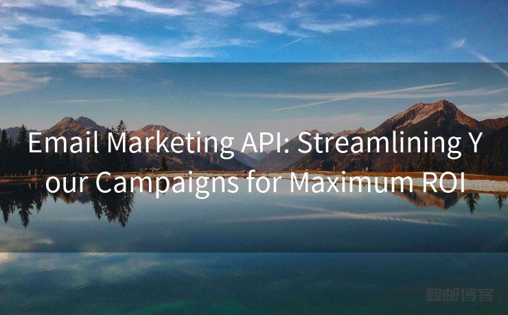 Email Marketing API: Streamlining Your Campaigns for Maximum ROI