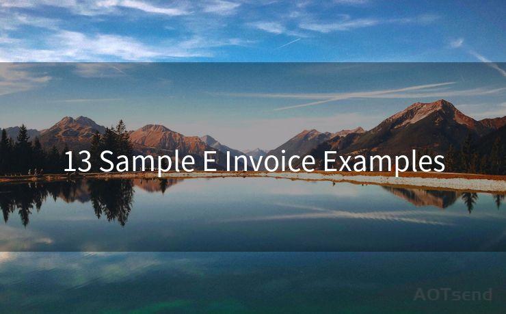 13 Sample E Invoice Examples