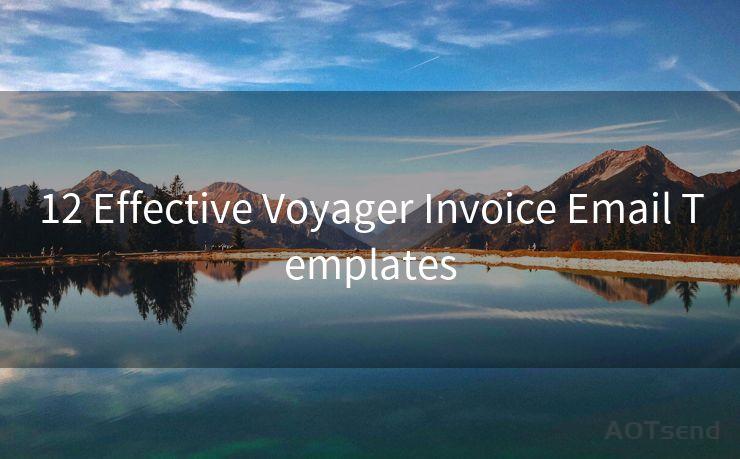 12 Effective Voyager Invoice Email Templates