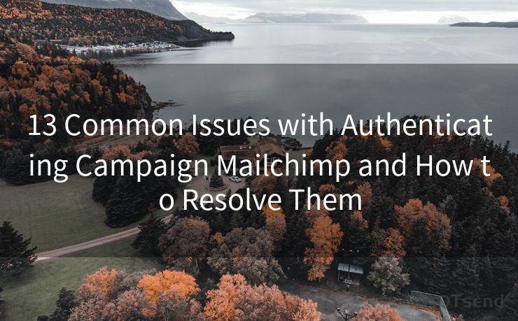 13 Common Issues with Authenticating Campaign Mailchimp and How to Resolve Them