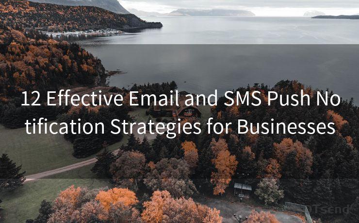 12 Effective Email and SMS Push Notification Strategies for Businesses