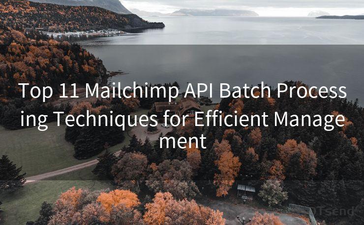 Top 11 Mailchimp API Batch Processing Techniques for Efficient Management